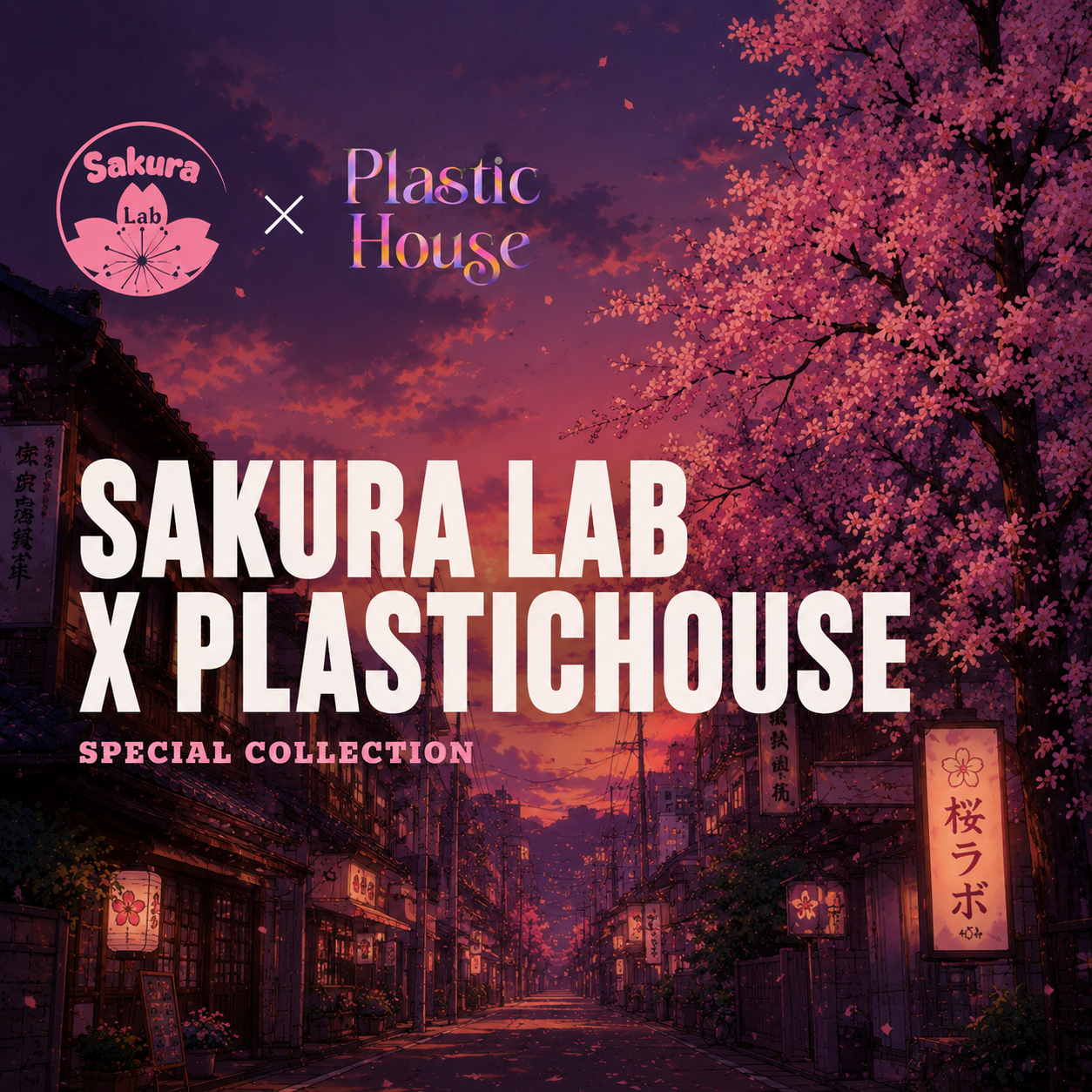 SakuraLab x PlasticHouse