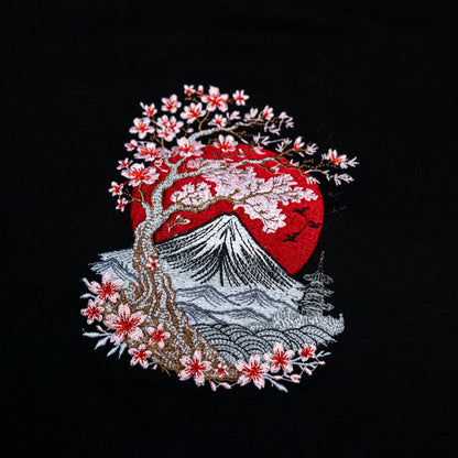 DRAGONE tshirt/felpa con ricamo