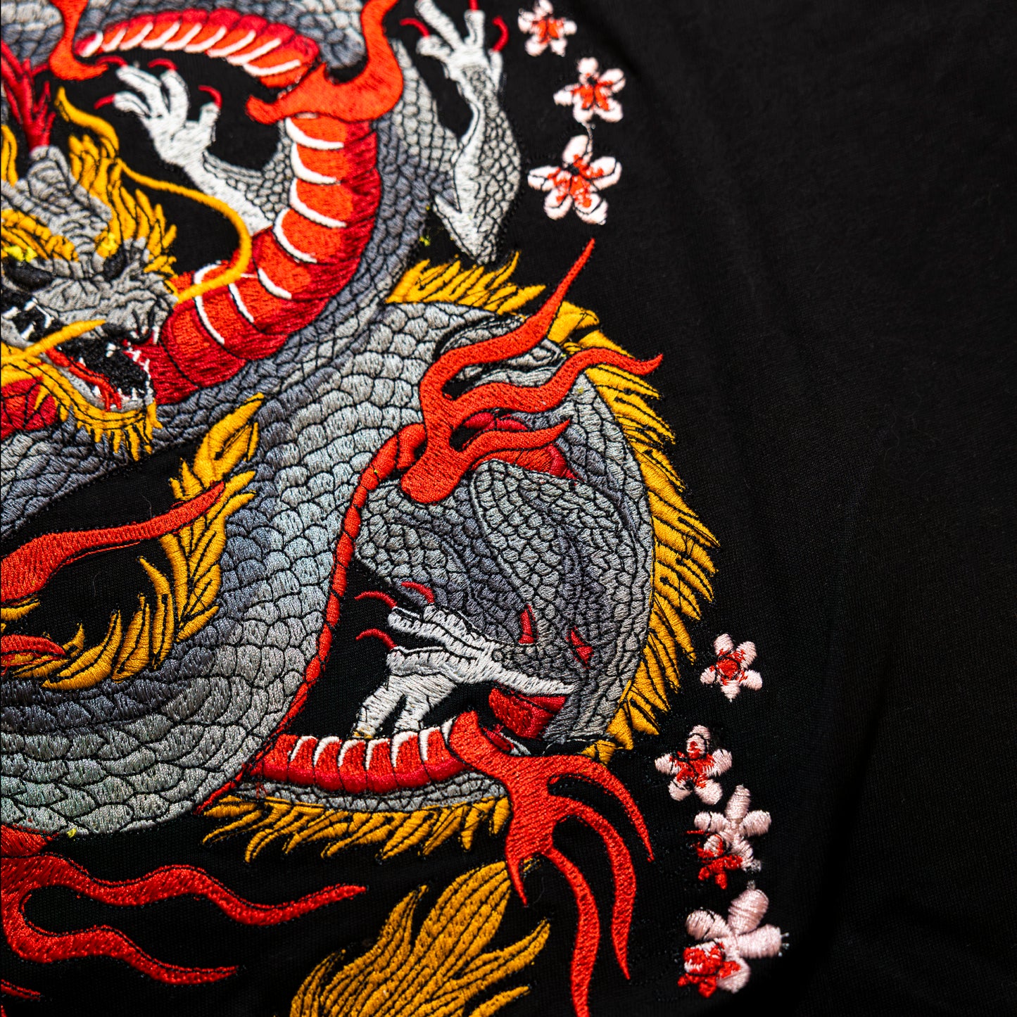 DRAGONE tshirt/felpa con ricamo