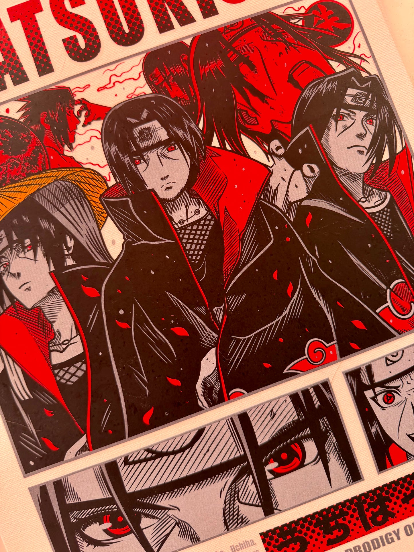 Tela con Stampa Anime 30x40